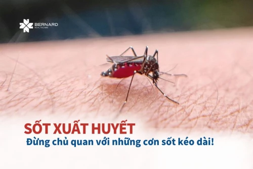 Cảnh báo sốt xuất huyết mùa mưa: Đừng chủ quan với những cơn sốt kéo dài!